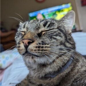 Meet your Posher, Rick